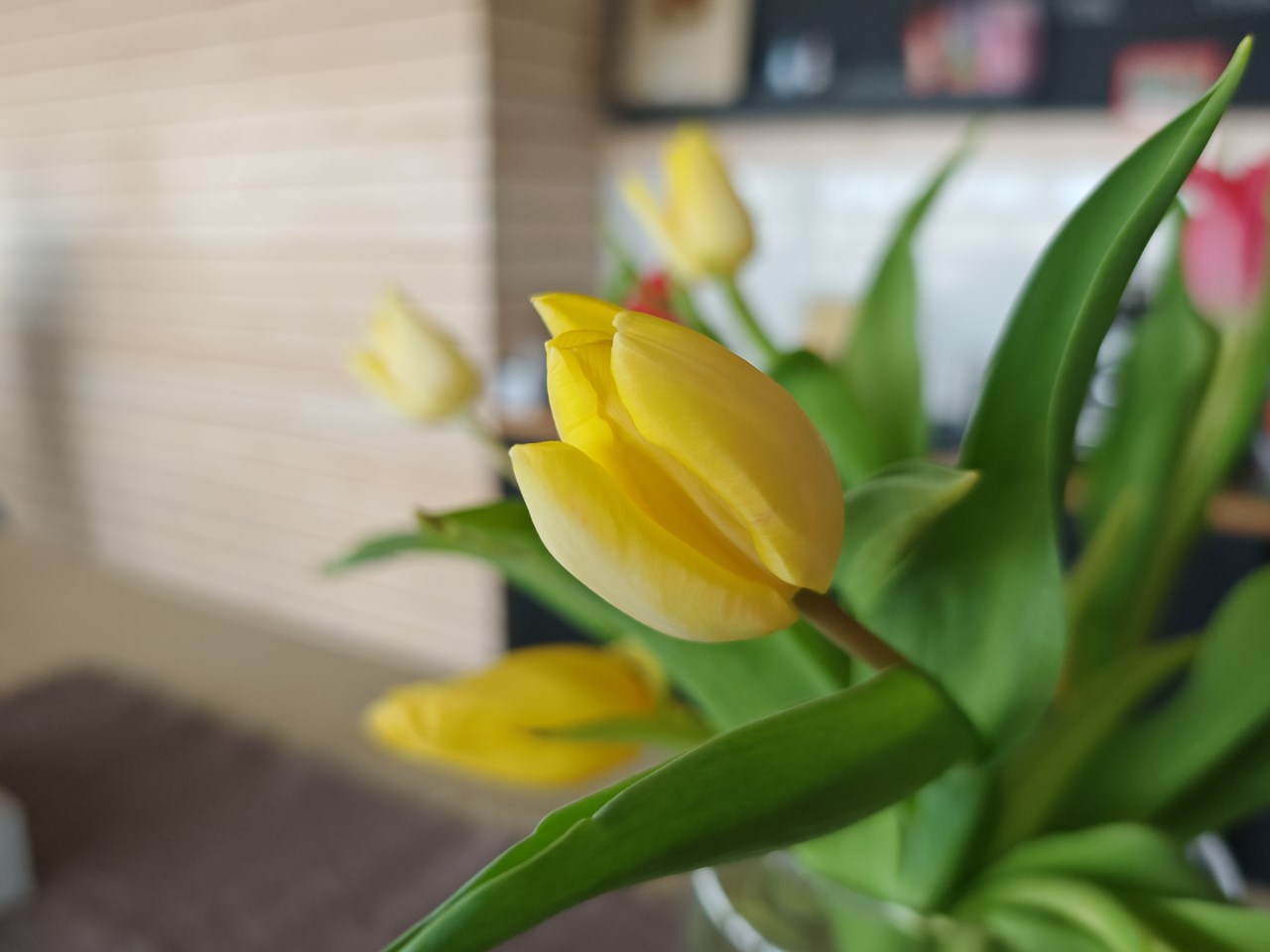 Đánh giá Honor Magic 6 Pro Đánh giá Honor Magic 6 Pro